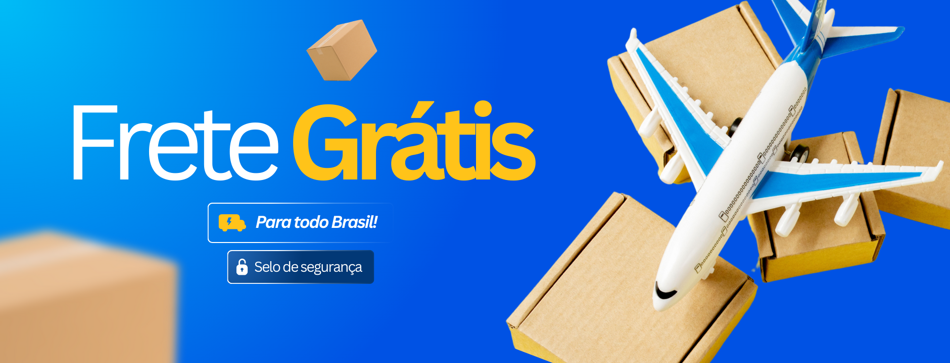 Paguei Bem